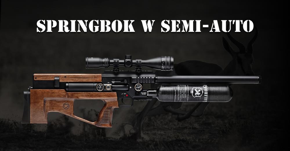 Springbok.jpeg
