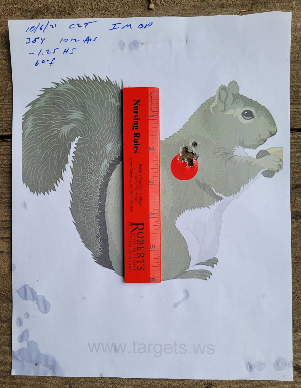 squirel target 35y results.1633625707.jpg