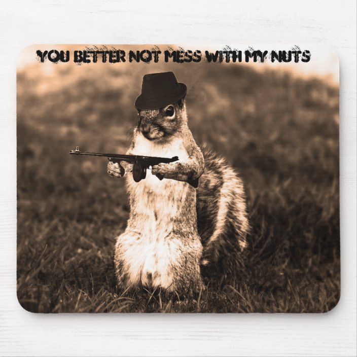squirrel_gangsta_you_better_not_mess_with_my_nuts_mouse_pad-rc2ba4fd84cae4bc988f74c16f9f38d71_...jpg