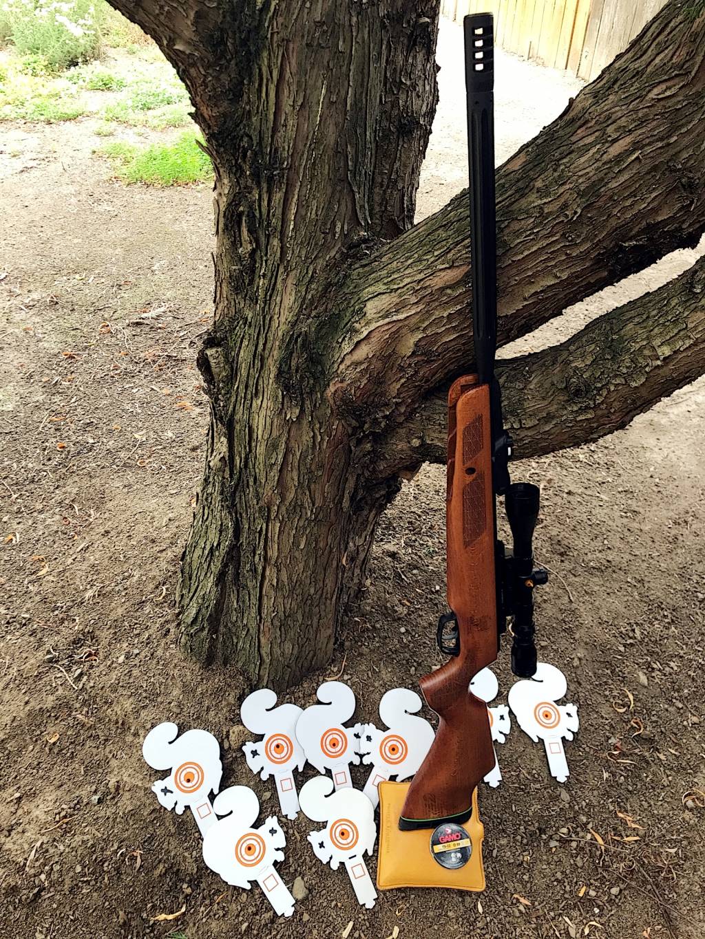 squirrelseason_gamobonehunter_wood22_july2021a.1646776380.jpg