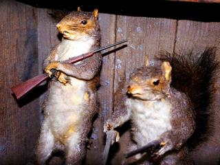 squirrelswithguns320x240.1606780404.jpg