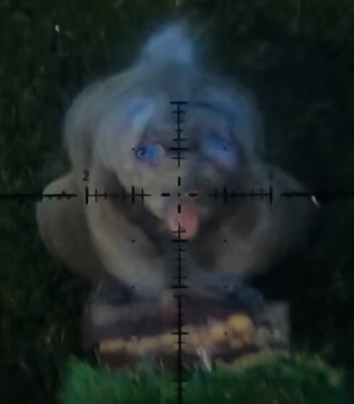 Sqweeerel.jpg
