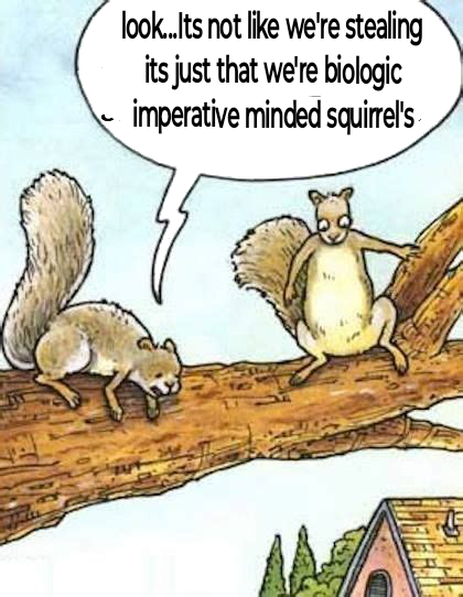 stealingsquirrel lol.png