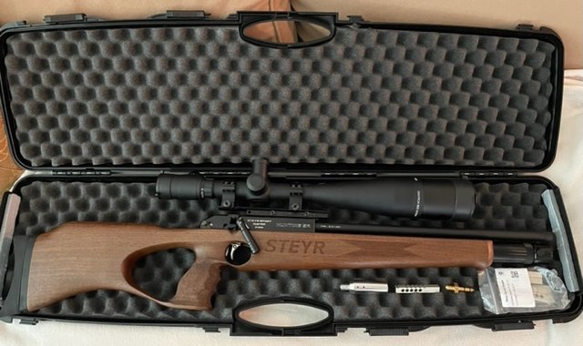 Steyr C.jpg