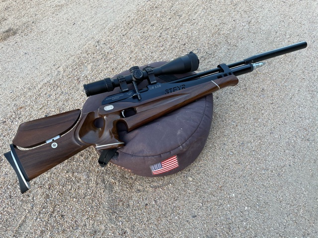 steyr ginb.1618076508.jpg