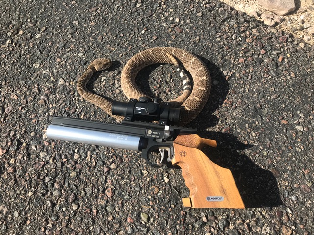 steyr rattler.1612460317.jpeg