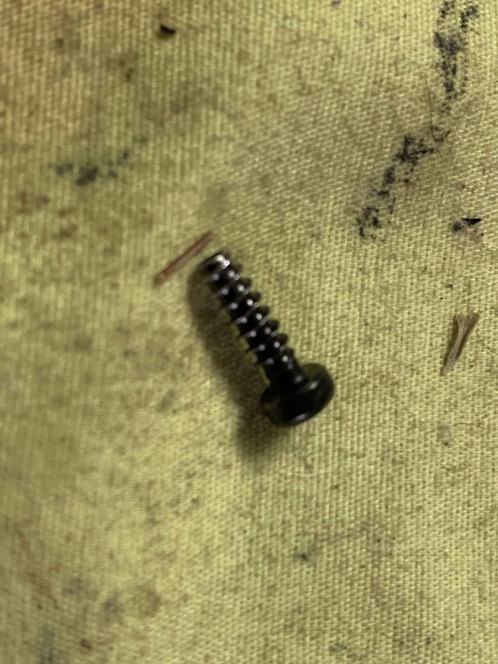 Stripped housing screw.1623869907.JPG