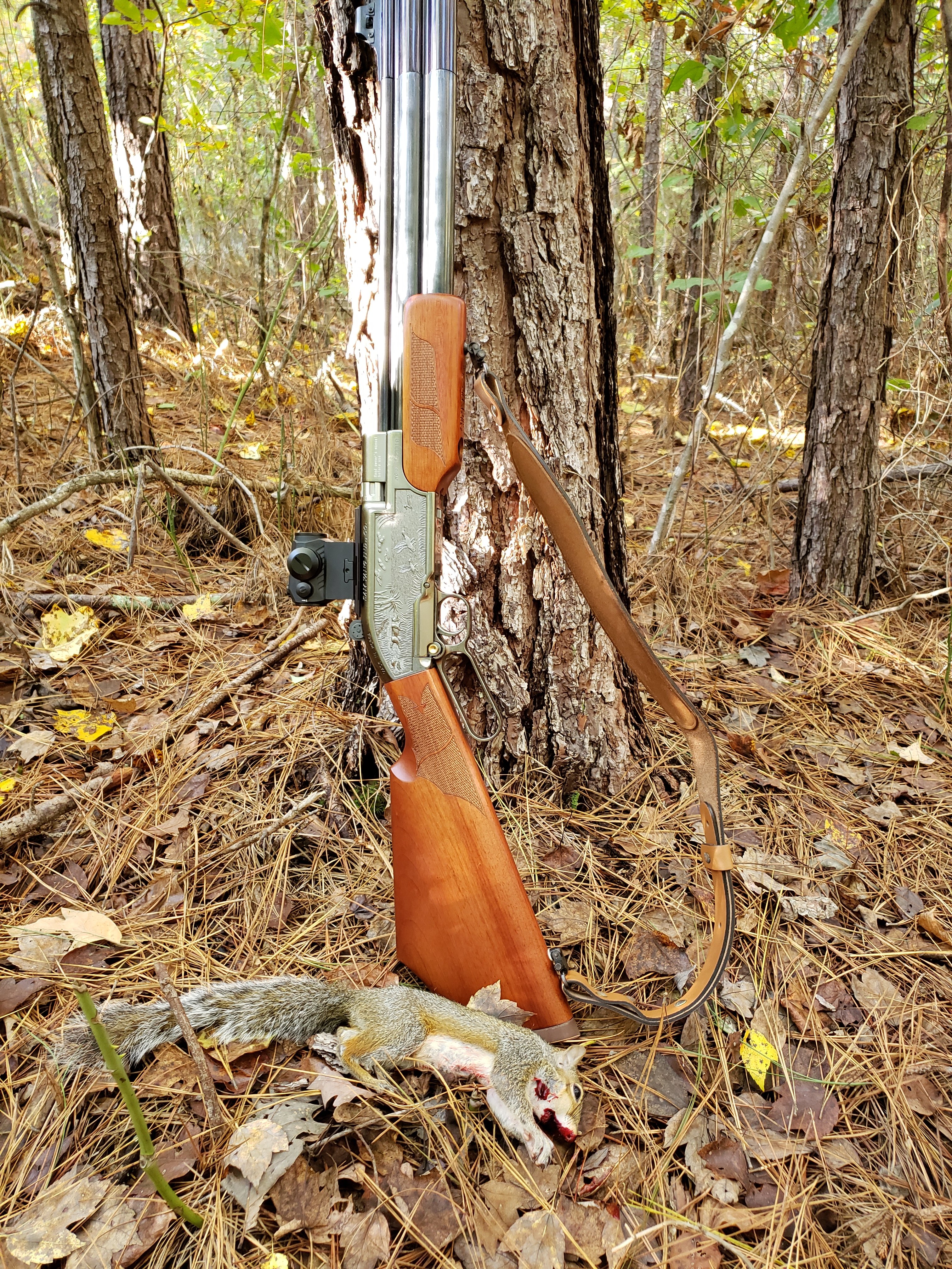 Sumatra Carbine.jpg
