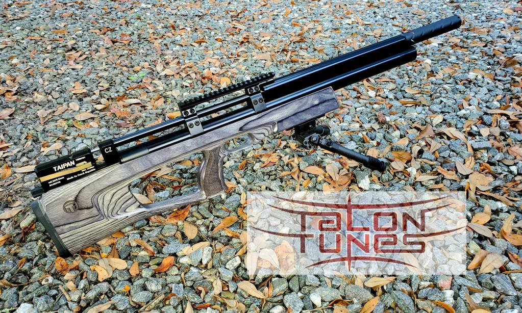 Taipan .22 Long CZ PT TT.1603663254.jpg
