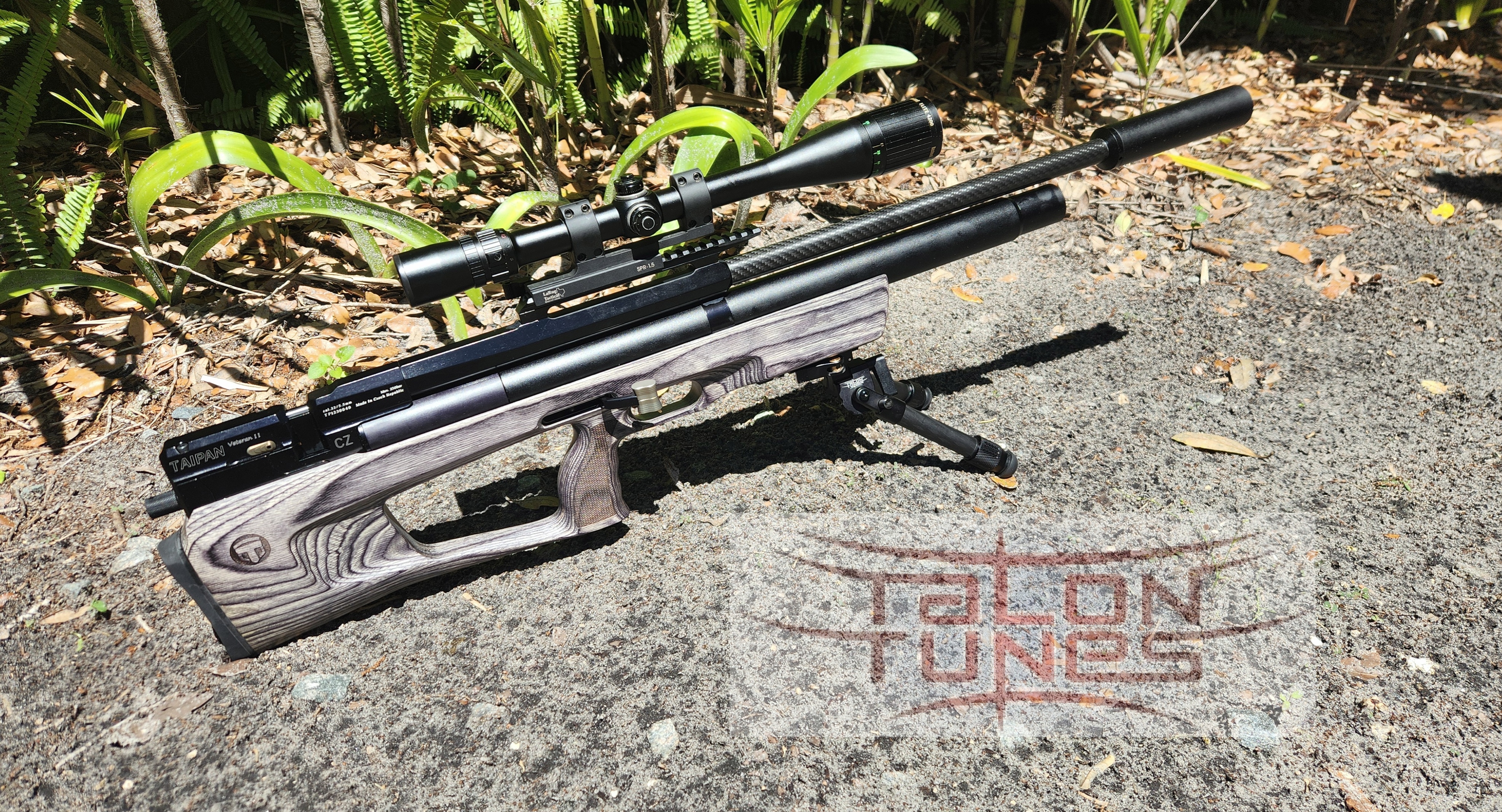 Taipan .22 Long CZ PT TT3.jpg