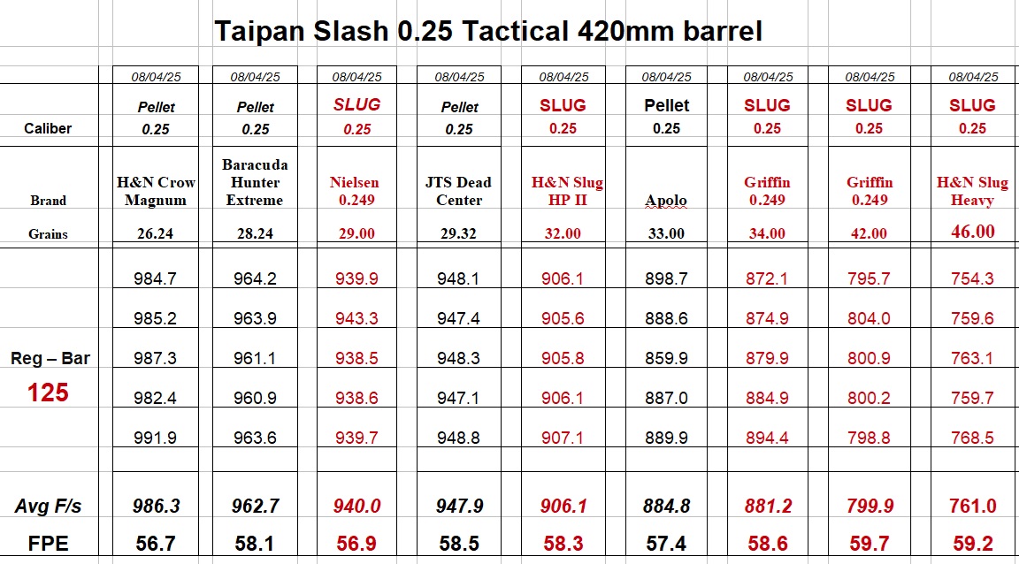 Taipan Slash 25 cal Tactical 420mm barrel - Regulator 125 Bar.jpg