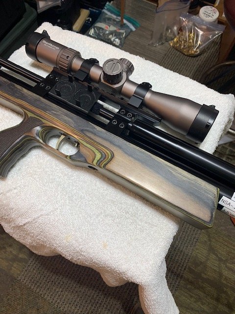 taipan3.jpg