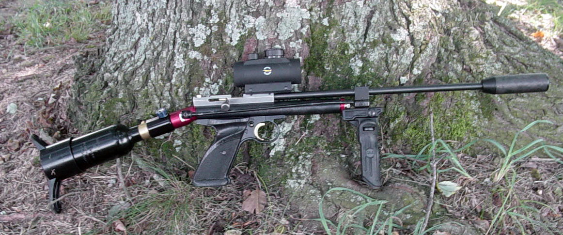Tammys Crosman pellet rifle (2021_05_10 08_17_41 UTC).jpg