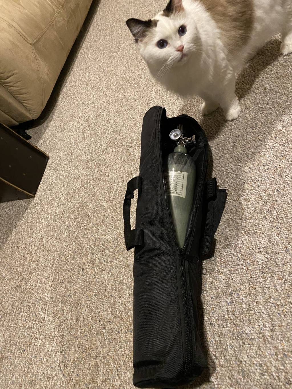 Tank Bag.1627005062.jpg