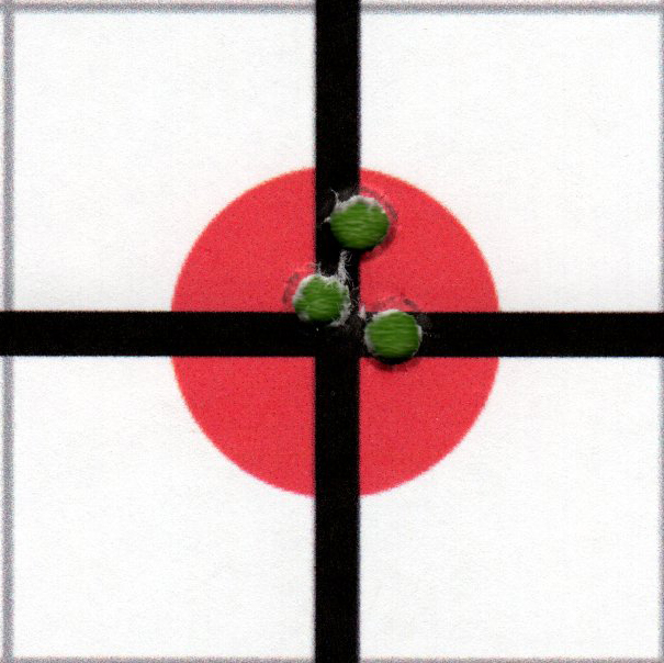 Target 100 y_crop.1618585742.jpg