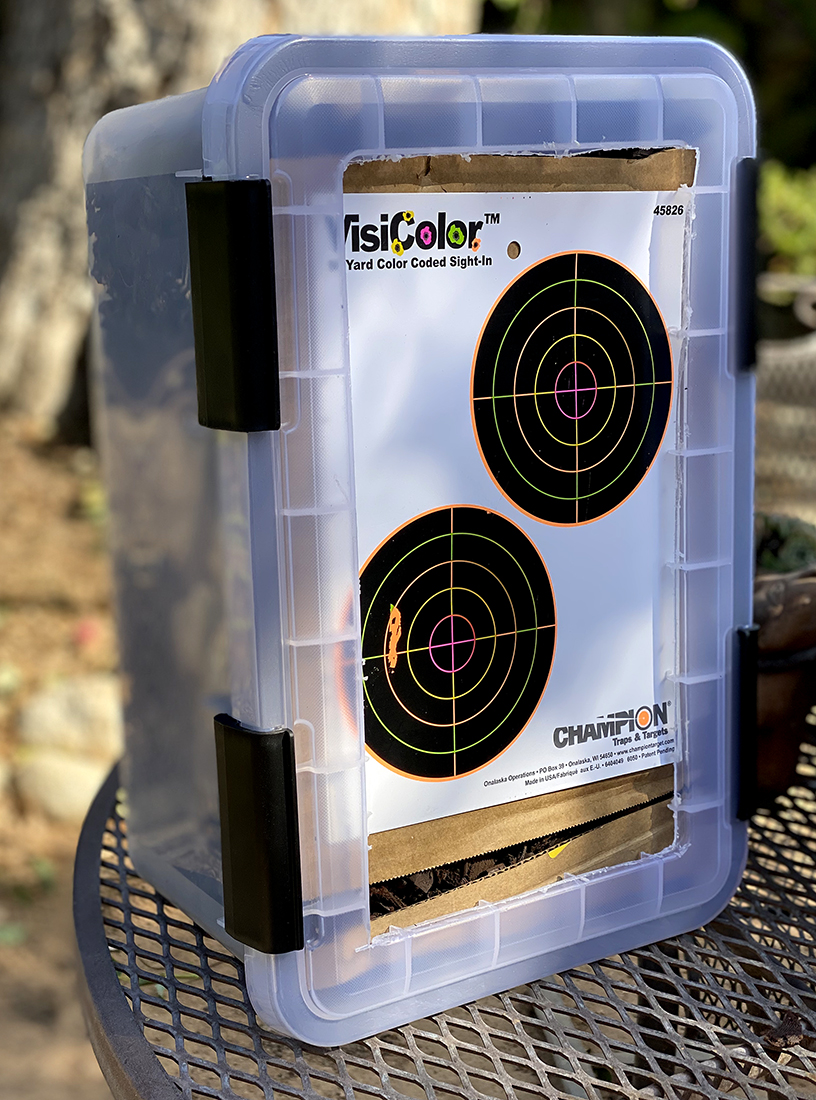 Target.1603748832.jpg