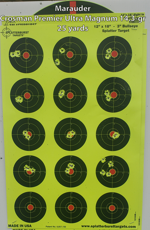 Target-3-Crosman-Premier-14.3.jpg