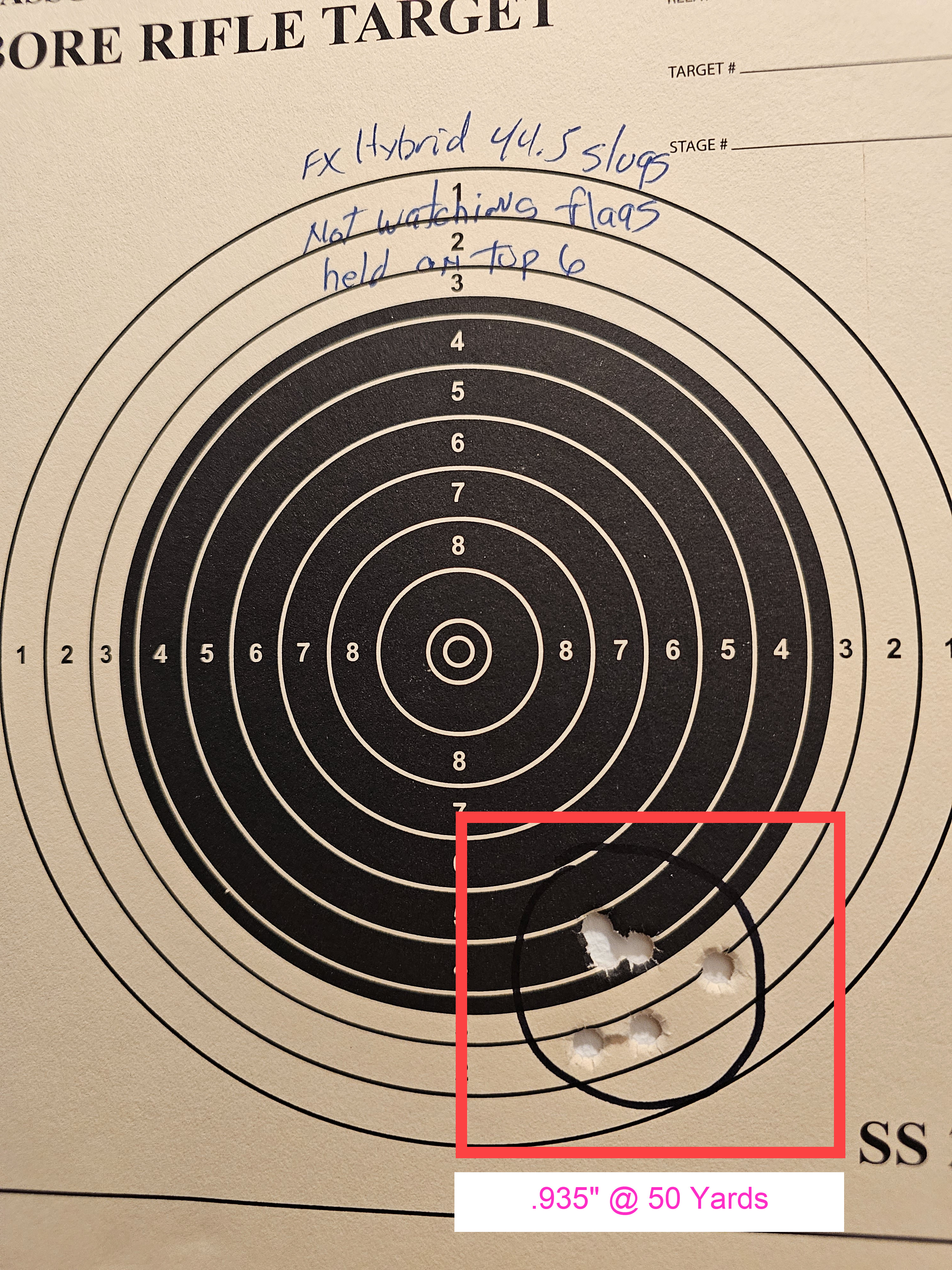 Target RAW HM1000x FX Hyrid 44.5 slugs.jpg