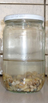 Teeth.1599151162.jpg