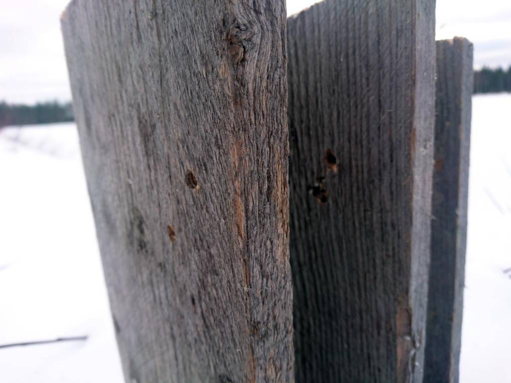 through-planks.1614764666.jpg