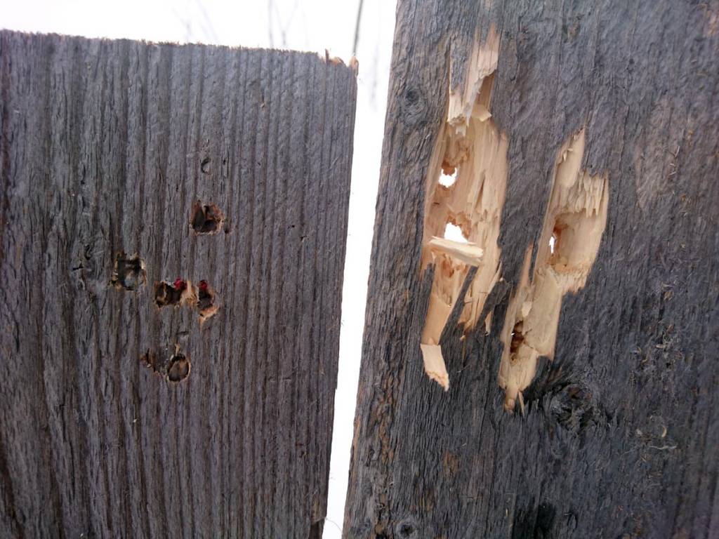 through-planks-holes.1614764677.jpg