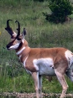 thumbnail_20220827_140809.jpg