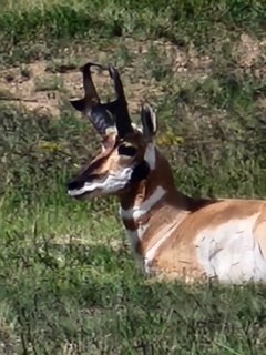 thumbnail_20220827_151918.jpg