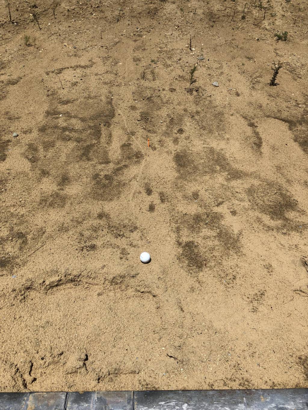 Trail.1624462706.JPG