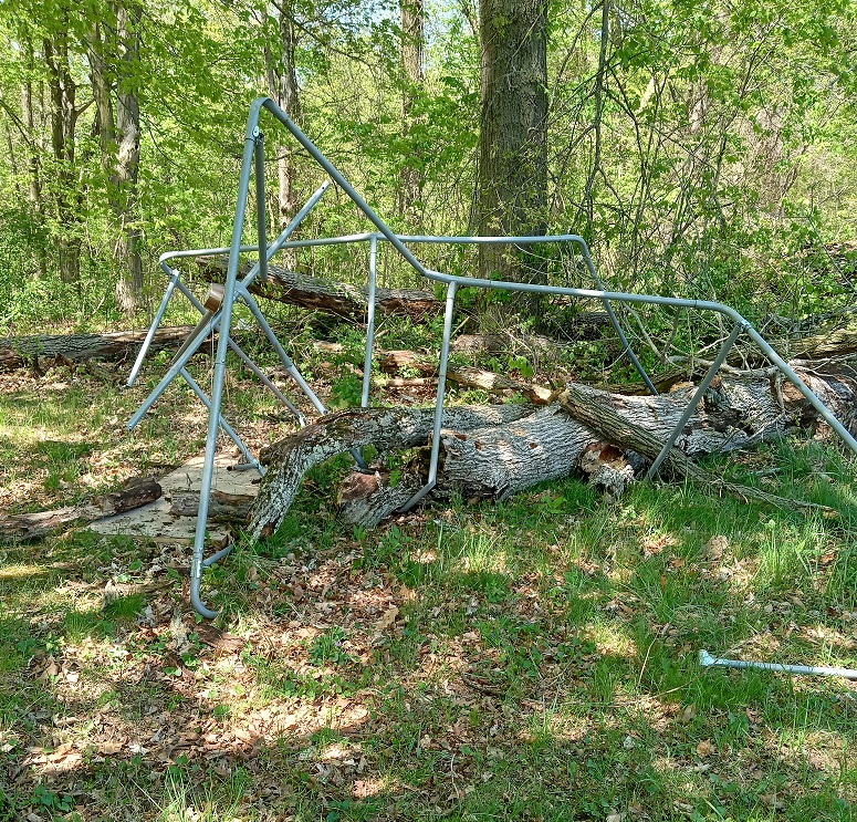 tree.jpg