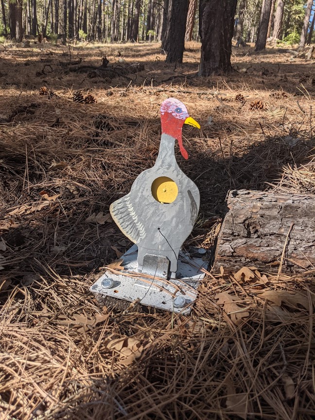 turkey.1620675397.jpg