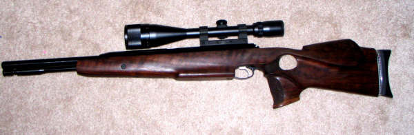 tx.1600357411.JPG