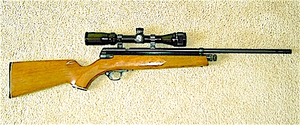 UD2 Target scoped.JPG