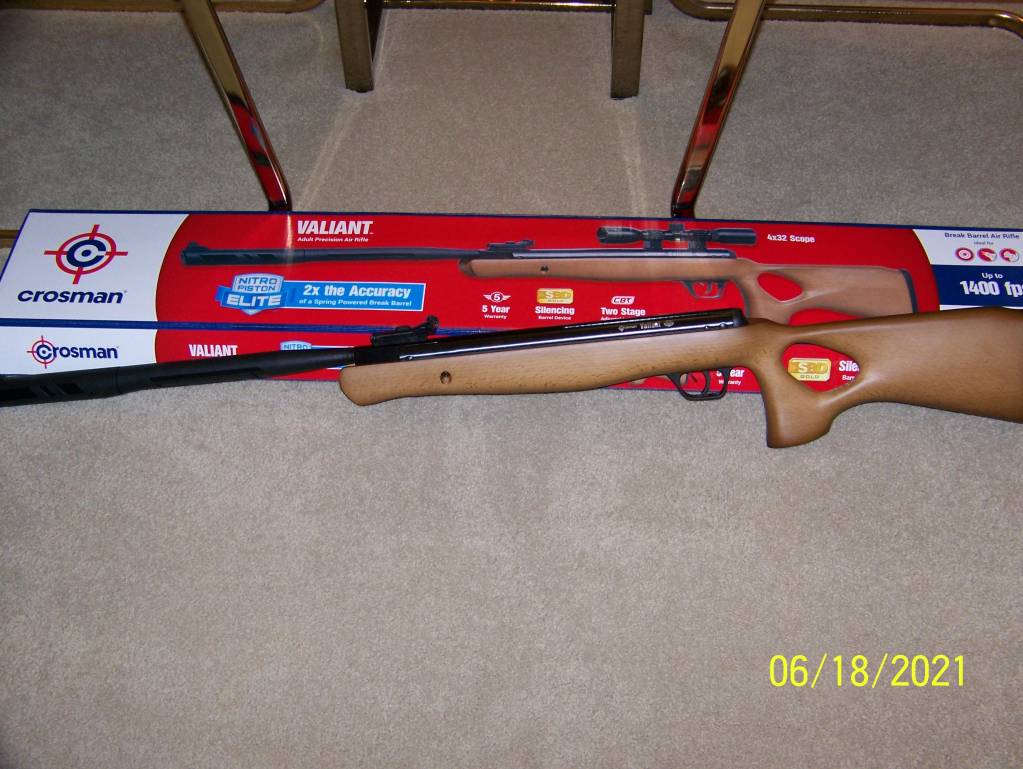 Variant Airrifle 003.1624044333.JPG