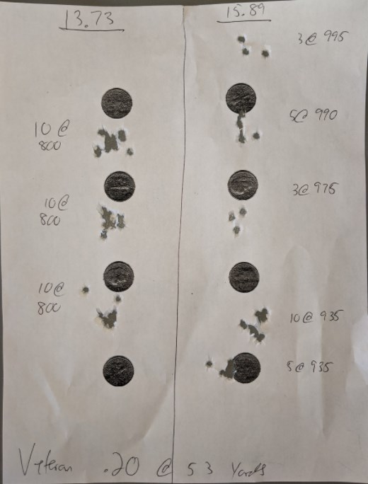 vet .20 accuracy.1602182508.jpg