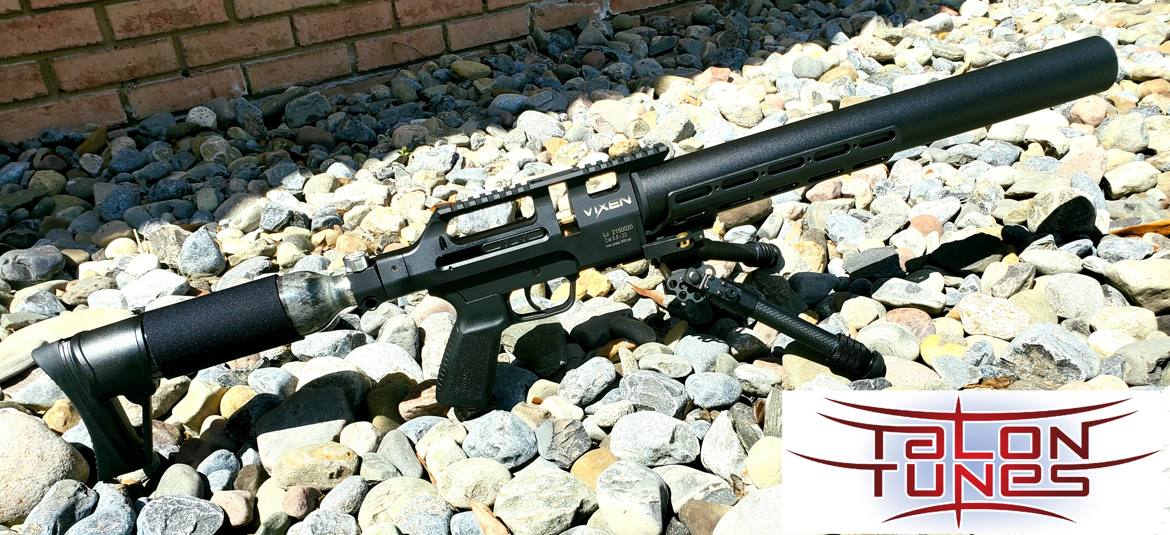 Vixen Long.1616185380.jpg