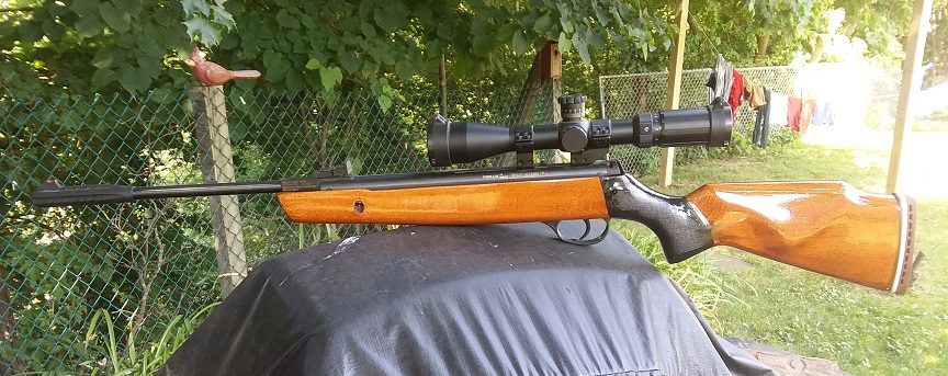 VMX Striker refinish 2.jpg