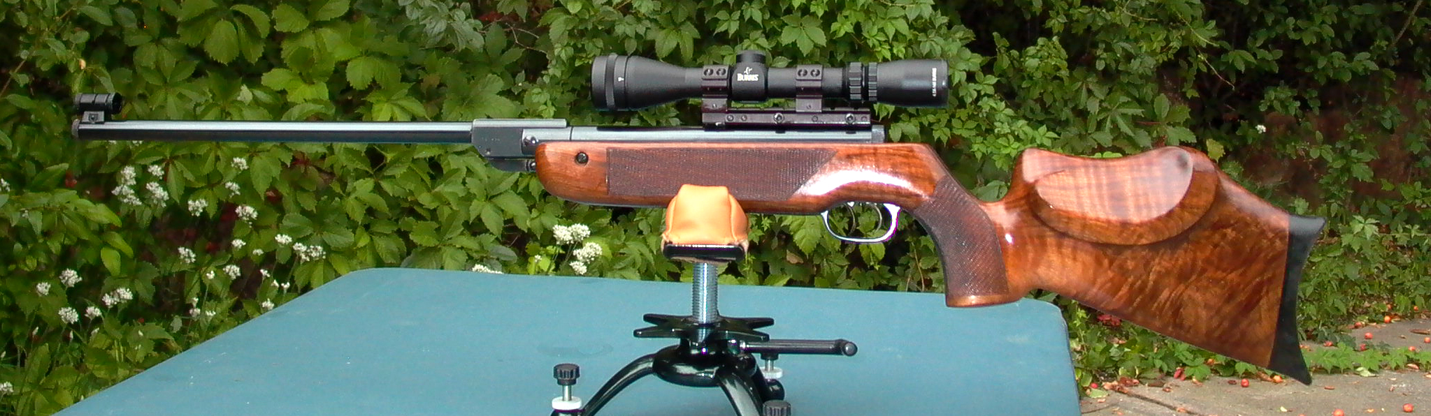 Walther LG55 DST Tyro001.JPG