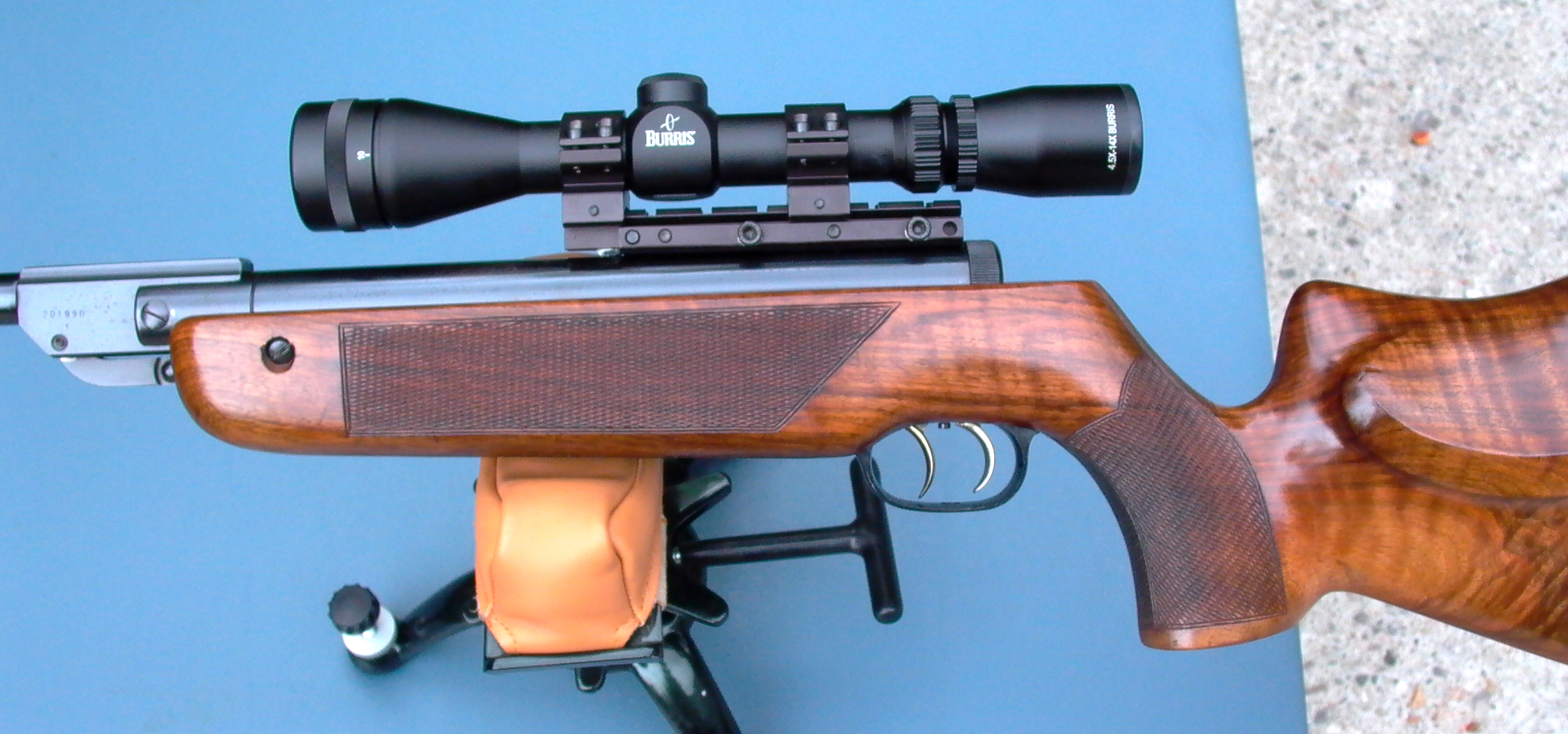 Walther LG55 DST Tyro004.JPG
