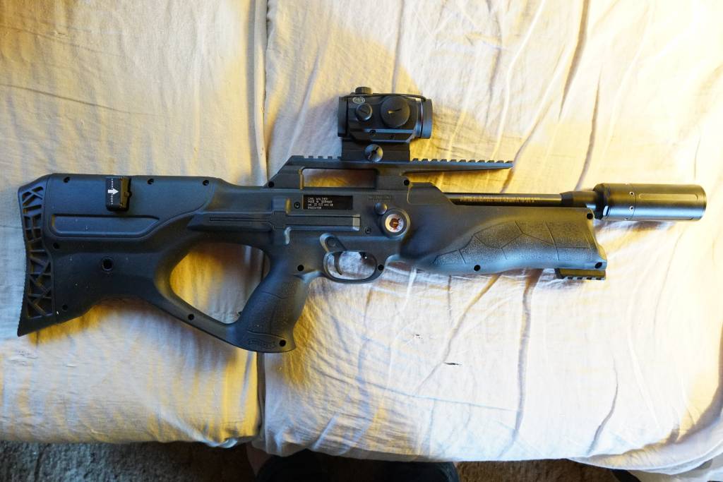 Walther Reign, .22.1635693497.JPG