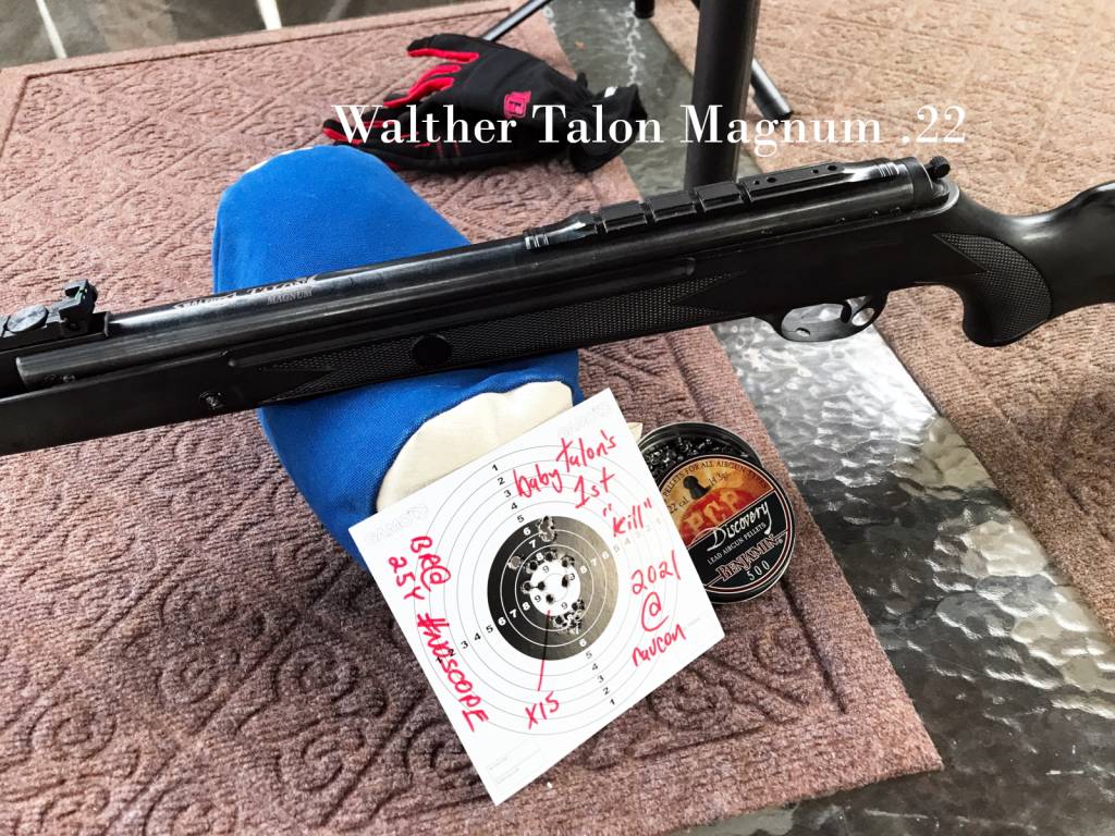 walthertalon22_001.1611231645.jpg