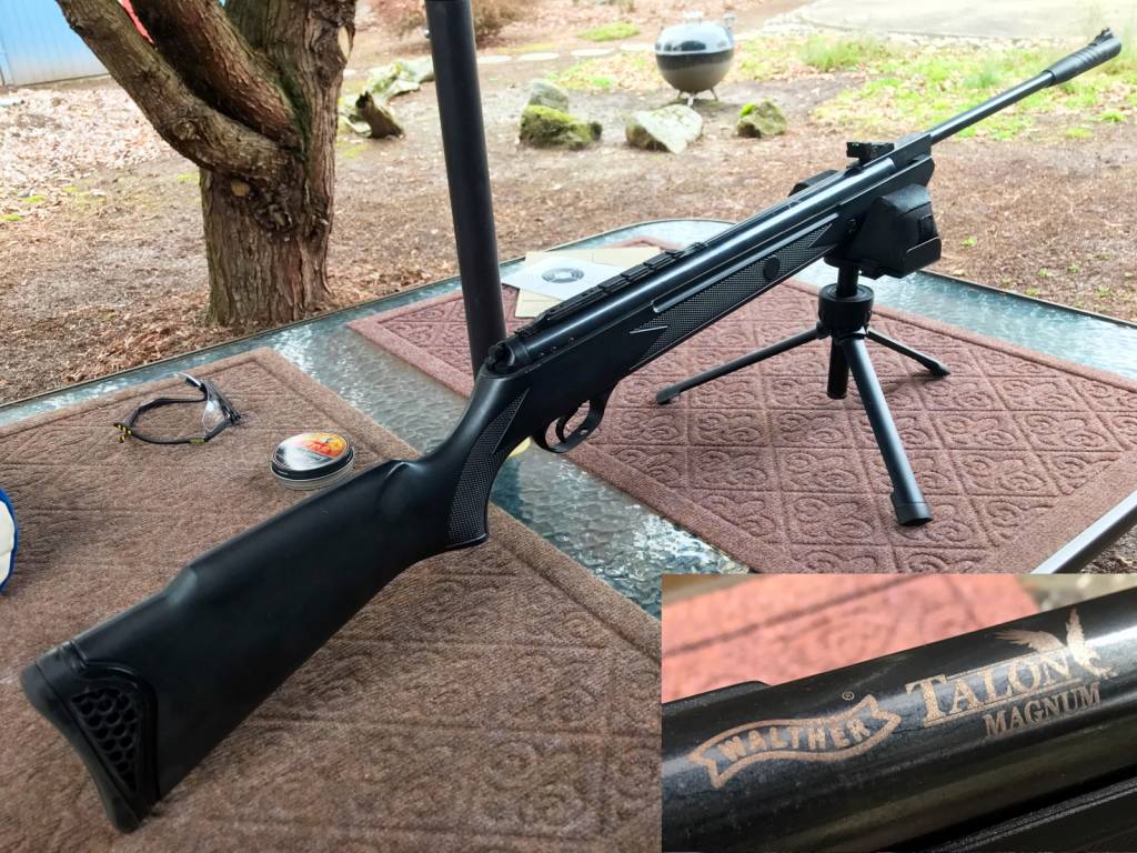 walthertalonmagnum22_001.1626453666.jpg