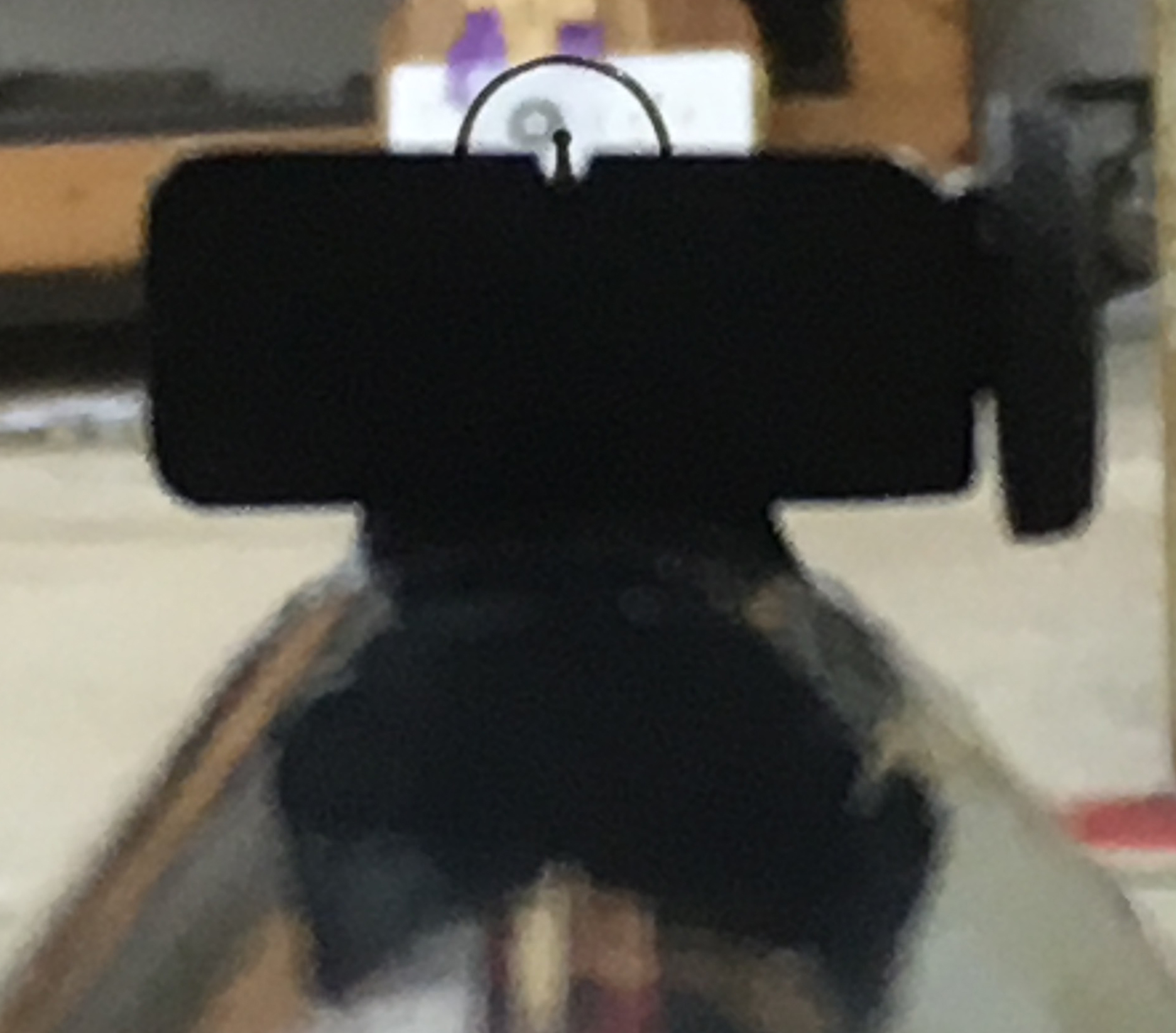 Weihrauch HW35L sight picture.jpg
