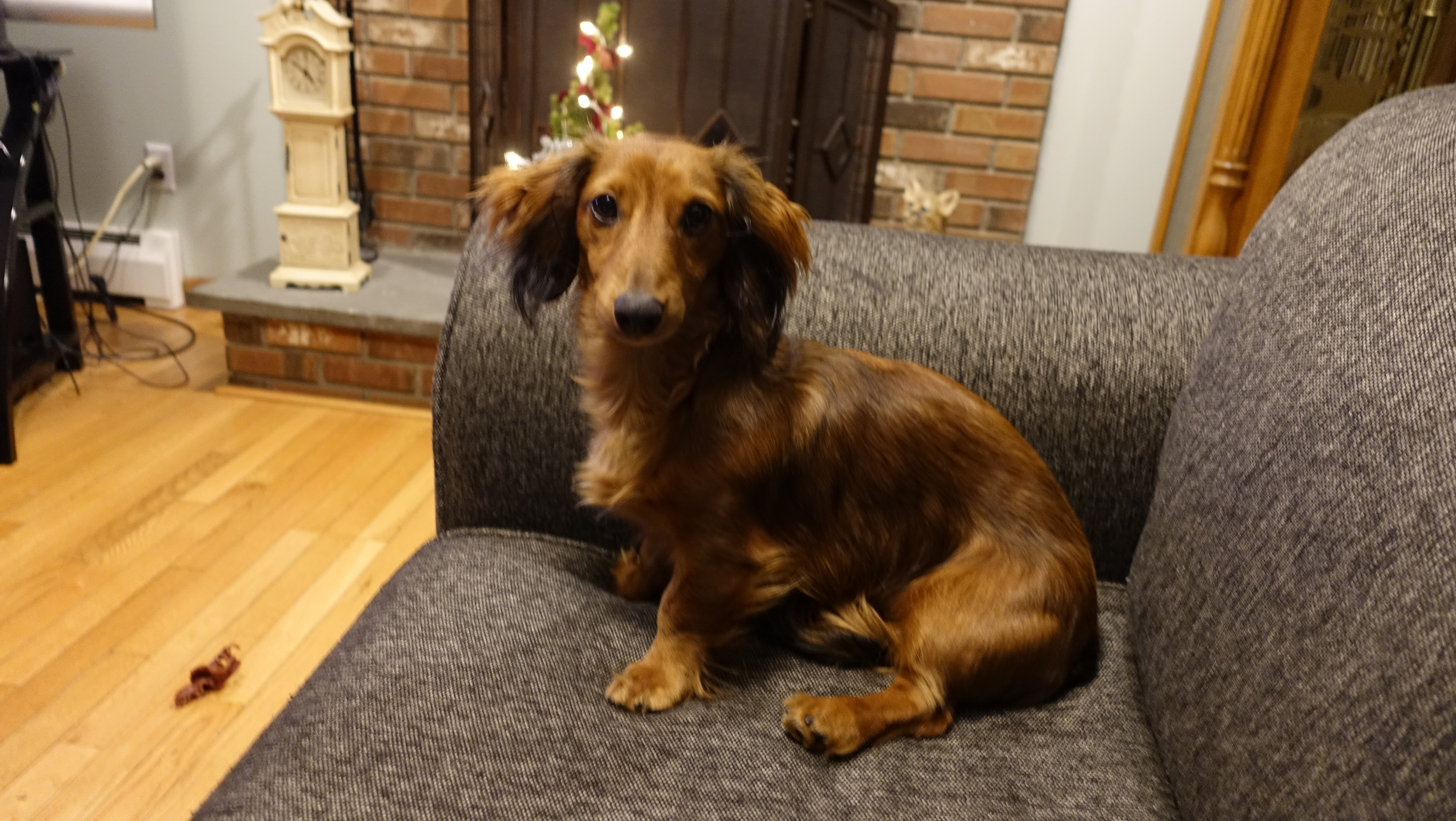 whiskers 1 5 2023.JPG