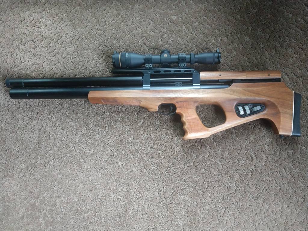 wildcat0101.1603556734.jpg