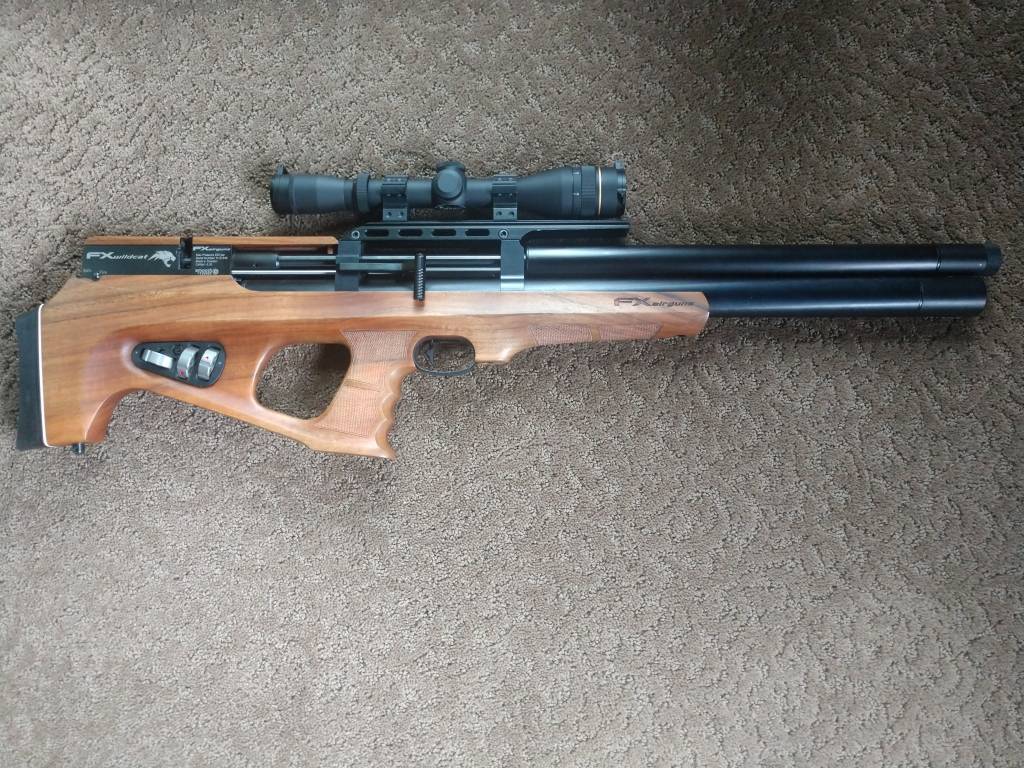 wildcat04.1603553552.jpg