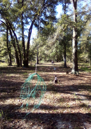 windfoo westtoeast.1637623213.jpg