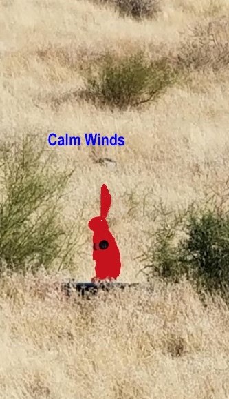 windy rabbit.1648187613.jpg