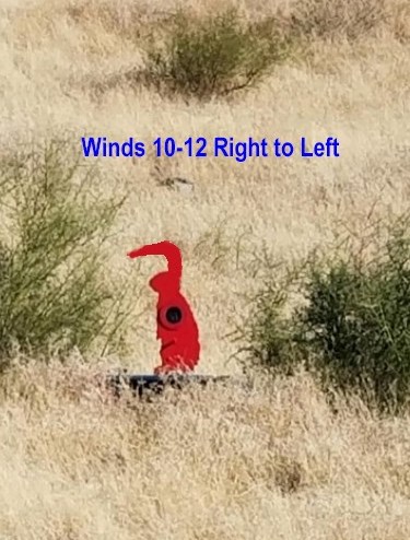 windy rabbit1.1648187613.jpg