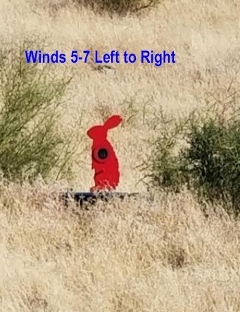 windy rabbit2.1648187613.jpg