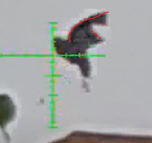Wing.1620504954.jpg